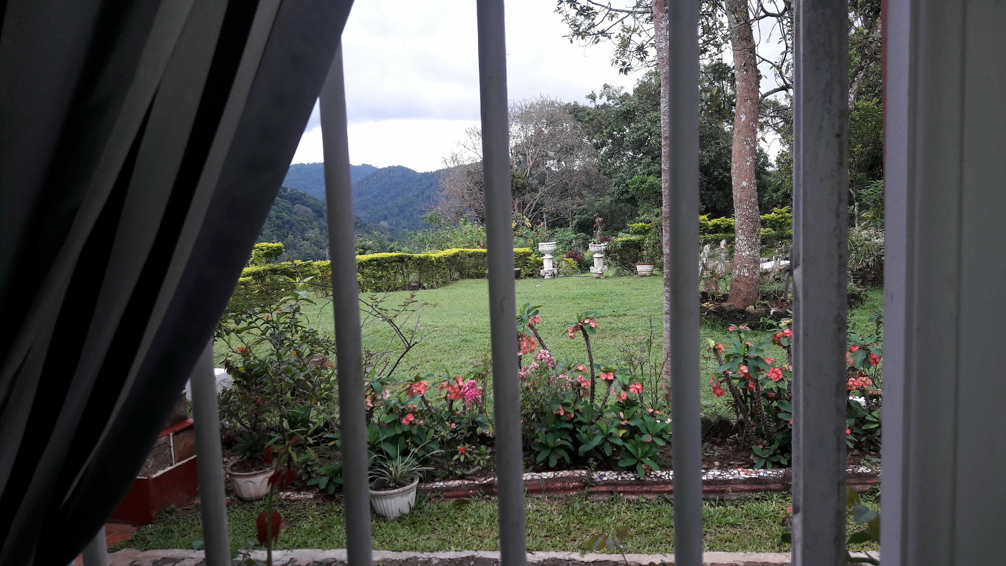 Oyo 441 Kandy Hill Bungalow Екстериор снимка
